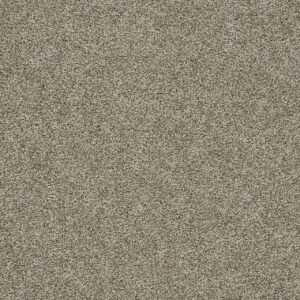 Dreamweaver Carpet Morning Glory III Northwood Carpet 3990_2226