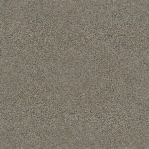 Dreamweaver Carpet Morning Glory III Papaya Carpet 3990_2445