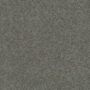 Dreamweaver Carpet Morning Glory III Napa Carpet 3990_2470