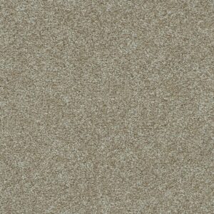 Dreamweaver Carpet Morning Glory II Sunburst Carpet 3975_2500