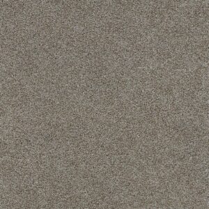 Dreamweaver Carpet Morning Glory II Edgecomb Carpet 3975_4052