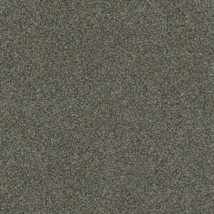 Dreamweaver Carpet Morning Glory III Bourbon Carpet 3990_4093