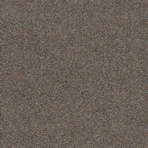Dreamweaver Carpet Morning Glory III Romano Carpet 3990_4427