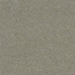 Dreamweaver Carpet Morning Glory II Artic Vibe Carpet 3975_4644