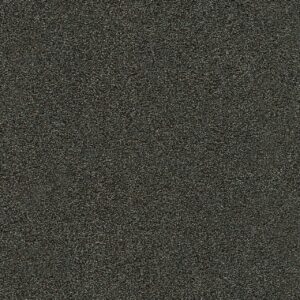 Dreamweaver Carpet Morning Glory III Ivyline Carpet 3990_4688