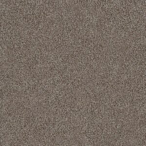 Dreamweaver Carpet Morning Glory II Dewberry Carpet 3975_4767