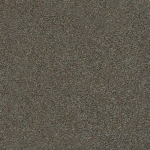 Dreamweaver Carpet Morning Glory I Barcelona Carpet 3960_5141