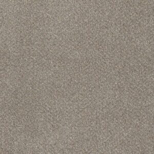 Dreamweaver Carpet Star Struck Ancient Marble Carpet 4032_473