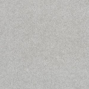 Dreamweaver Carpet Star Struck Morning Dove Carpet 4032_813