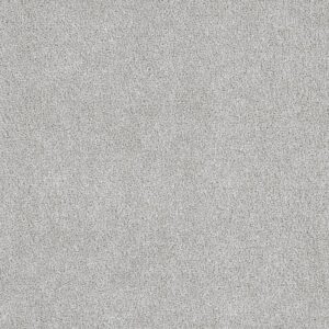 Dreamweaver Carpet Star Struck Slumber Carpet 4032_926