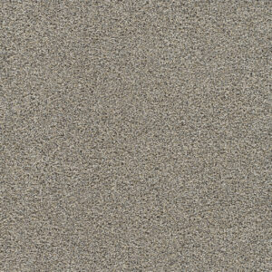 Dreamweaver Carpet Gold Standard I Nite Carpet 4046_2057