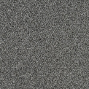 Dreamweaver Carpet Gold Standard I Mica Carpet 4046_2185