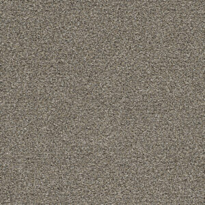 Dreamweaver Carpet Gold Standard II Pewter Carpet 4056_2316