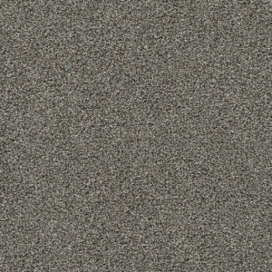 Dreamweaver Carpet Gold Standard I Graphite Carpet 4046_2330