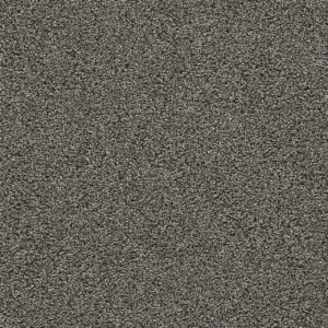 Dreamweaver Carpet Gold Standard II Zinc Carpet 4056_2376
