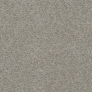 Dreamweaver Carpet Gold Standard I Crystle Carpet 4046_2448