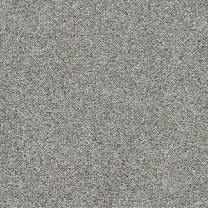 Dreamweaver Carpet Gold Standard I Chrome Carpet 4046_2484