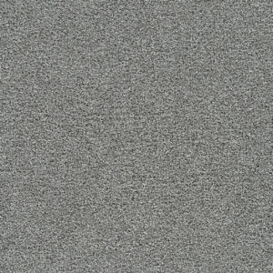 Dreamweaver Carpet Gold Standard II Galvanized Carpet 4056_2494