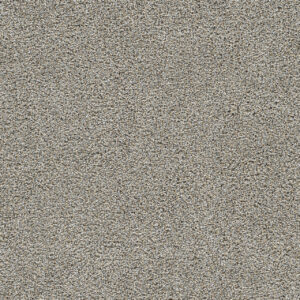 Dreamweaver Carpet Gold Standard II Sterling Carpet 4056_2508