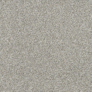 Dreamweaver Carpet Gold Standard I Glitter Carpet 4046_2611