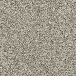 Dreamweaver Carpet Gold Standard I Alloy Carpet 4046_2632