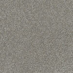 Dreamweaver Carpet Gold Standard I Metallic Carpet 4046_2648