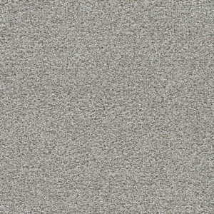 Dreamweaver Carpet Gold Standard I Quartz Carpet 4046_2678