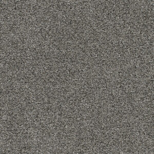 Dreamweaver Carpet Gold Standard II Benchmark Carpet 4056_2684