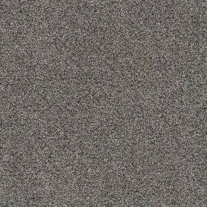 Dreamweaver Carpet Gold Standard III Benchmark Carpet 4066_2684