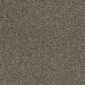 Dreamweaver Carpet Gold Standard II Ingot Carpet 4056_2801