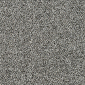 Dreamweaver Carpet Gold Standard I Reserve Carpet 4046_2817