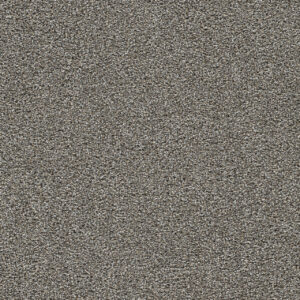 Dreamweaver Carpet Gold Standard II Topaz Carpet 4056_2819