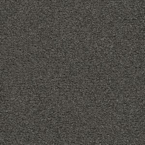 Dreamweaver Carpet Gold Standard III Onyx Carpet 4066_2875