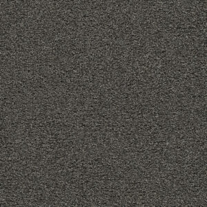 Dreamweaver Carpet Gold Standard I Onyx Carpet 4046_2875