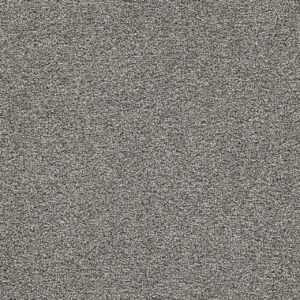 Dreamweaver Carpet Gold Standard II Platinum Carpet 4056_2898