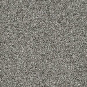 Dreamweaver Carpet Gold Standard III Platinum Carpet 4066_2898