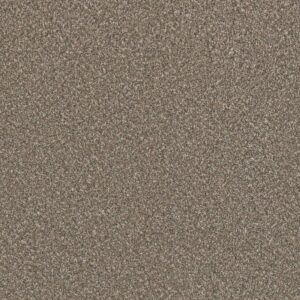Dreamweaver Carpet Lucky Penny III Flaxen Carpet 4067_2391