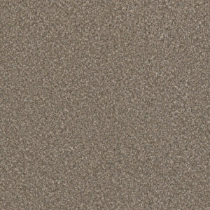 Dreamweaver Carpet Lucky Penny I Flaxen Carpet 4047_2391