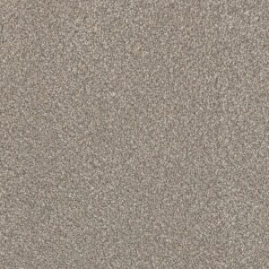 Dreamweaver Carpet Lucky Penny III Burnished Carpet 4067_2499