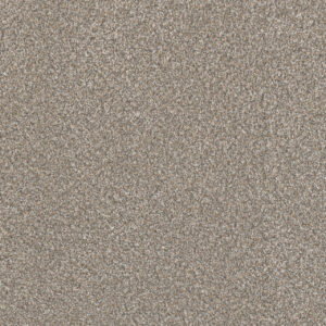 Dreamweaver Carpet Lucky Penny I Burnished Carpet 4047_2499