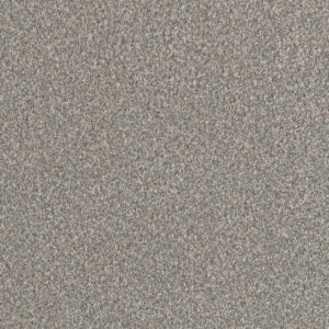 Dreamweaver Carpet Lucky Penny II Ablaze Carpet 4055_2522