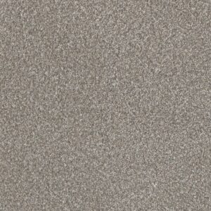 Dreamweaver Carpet Lucky Penny III Frost Carpet 4067_2591