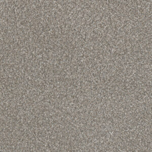 Dreamweaver Carpet Lucky Penny I Frost Carpet 4047_2591