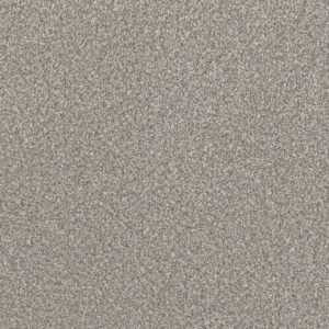 Dreamweaver Carpet Lucky Penny II Pearl Carpet 4055_2747