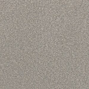 Dreamweaver Carpet Lucky Penny III Pearl Carpet 4067_2747