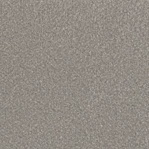 Dreamweaver Carpet Lucky Penny III Rain Drops Carpet 4067_4003