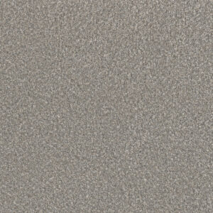 Dreamweaver Carpet Lucky Penny I Rain Drops Carpet 4047_4003