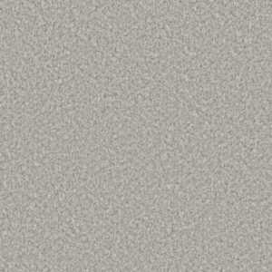 Dreamweaver Carpet Lucky Penny III Hartley Carpet 4067_4018