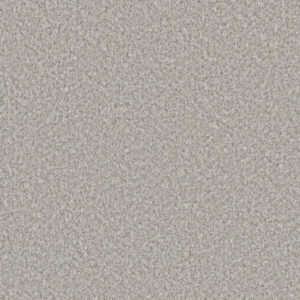 Dreamweaver Carpet Lucky Penny I Hartley Carpet 4047_4018