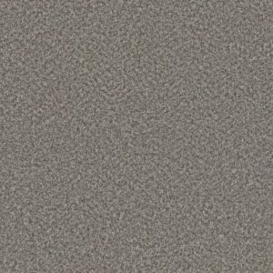 Dreamweaver Carpet Lucky Penny III Marcella Carpet 4067_4025